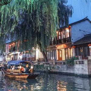 当猫把心爱的鸟吃了该怎么办？游戏画面